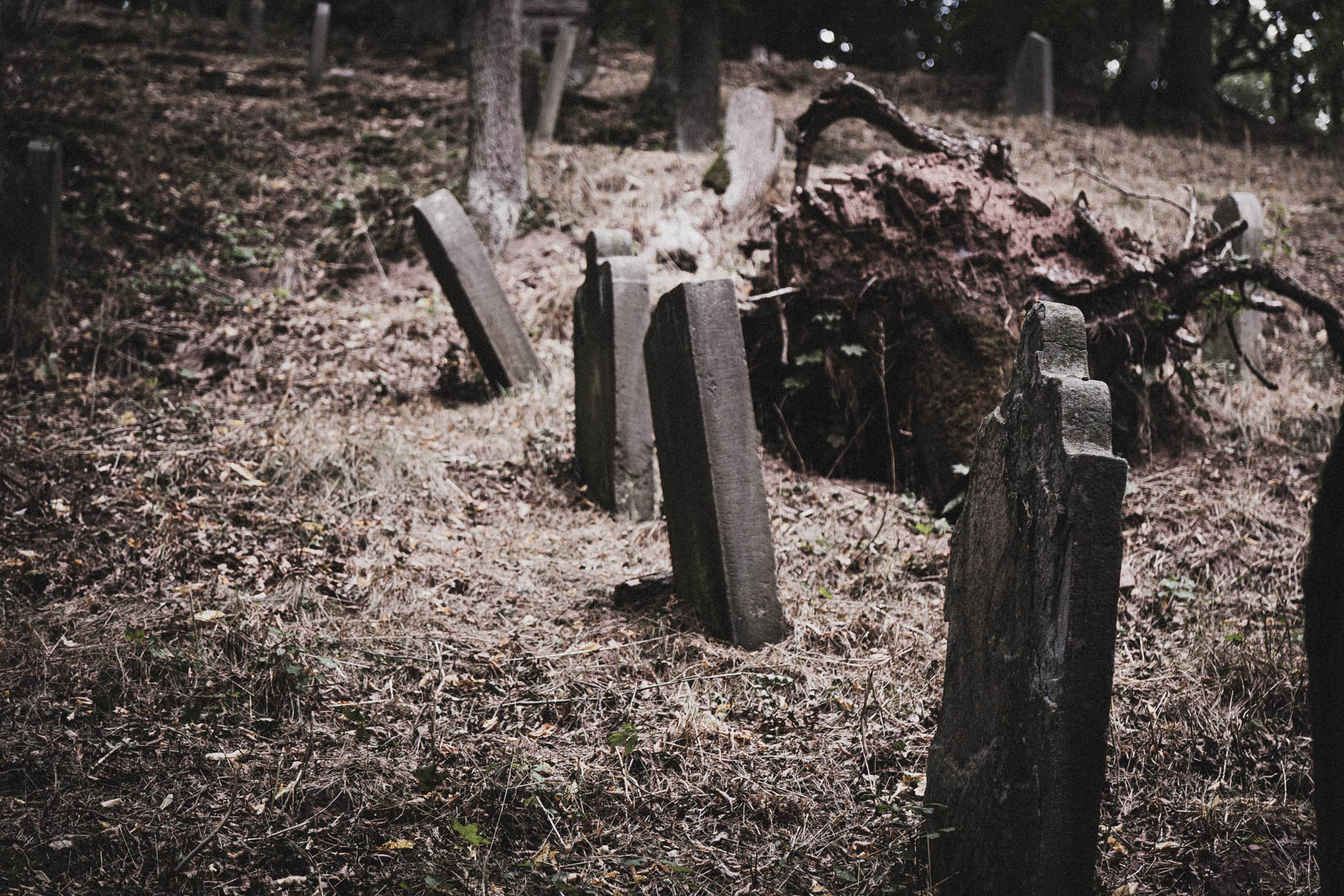 Sontra, Jüdischer Friedhof